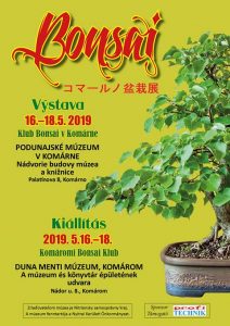 Bonsai – výstava
