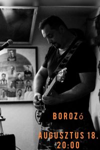 Emmer Péter – koncert