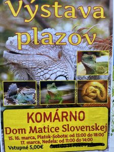 Výstava plazov